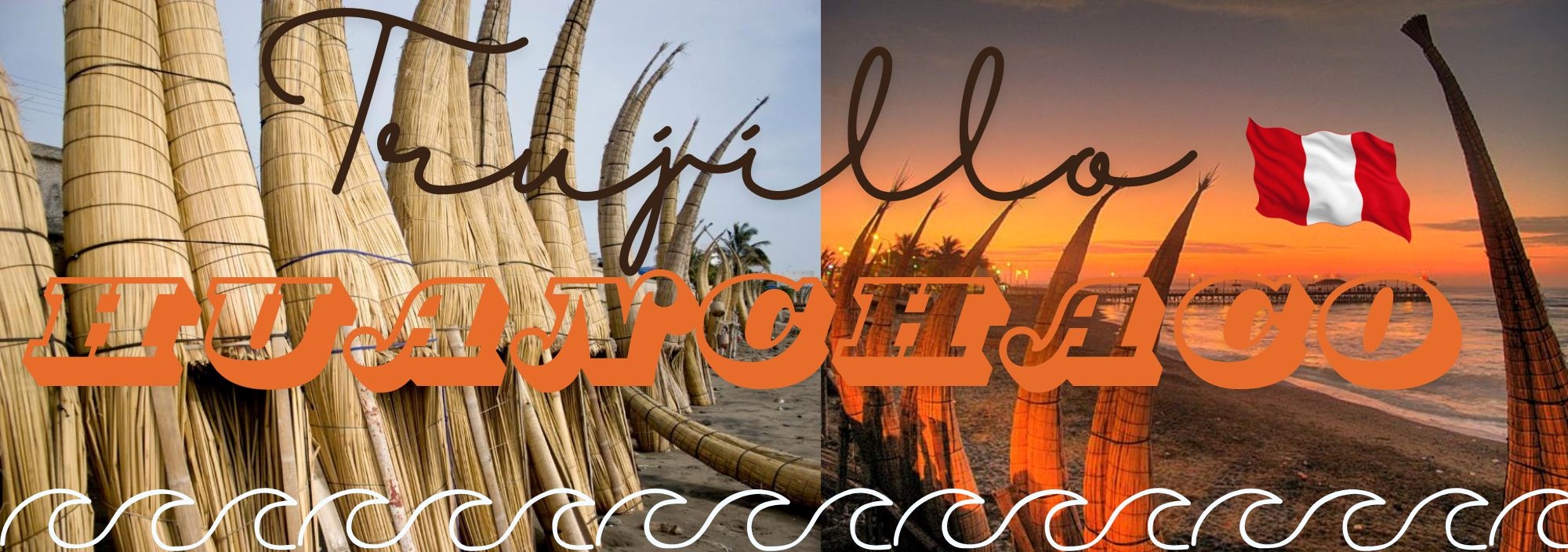 Descripción de la imagen